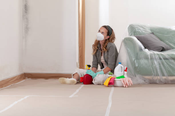 Reliable Black Mold Remediation contractor in Sewell, NJ by 24 Hour Mold Removal